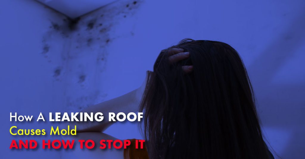 How A Leaking Roof Causes Mold And How To Stop It