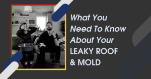 What You Need To Know About Your Leaky Roof And Mold | StormForce