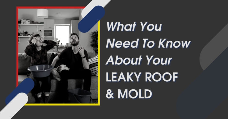 What You Need To Know About Your Leaky Roof And Mold