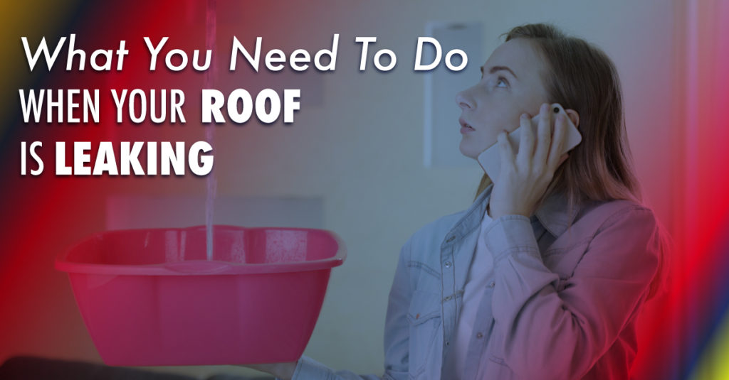 What You Need To Do When Your Roof Is Leaking