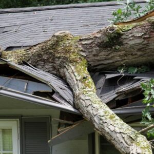 Storm damage to roof & gutter by fallen tree